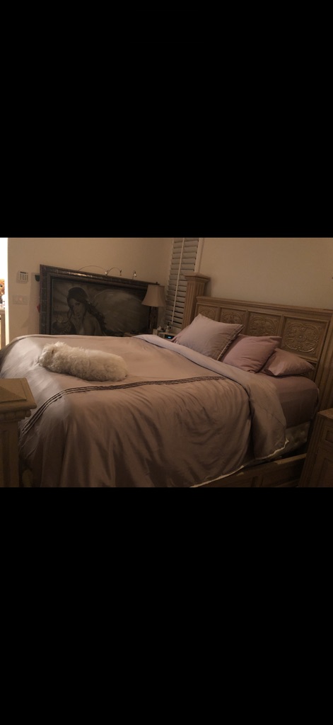 Free King Bed Frame