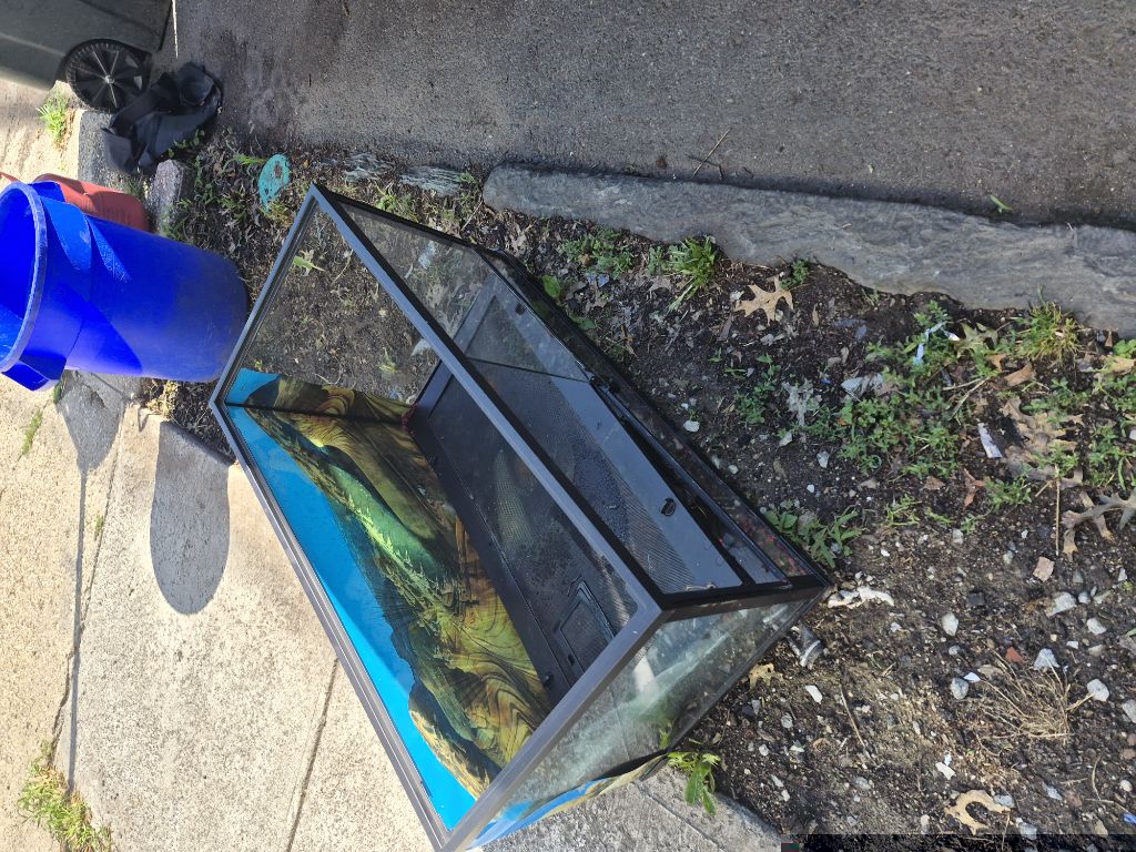 Free Glass reptile tank