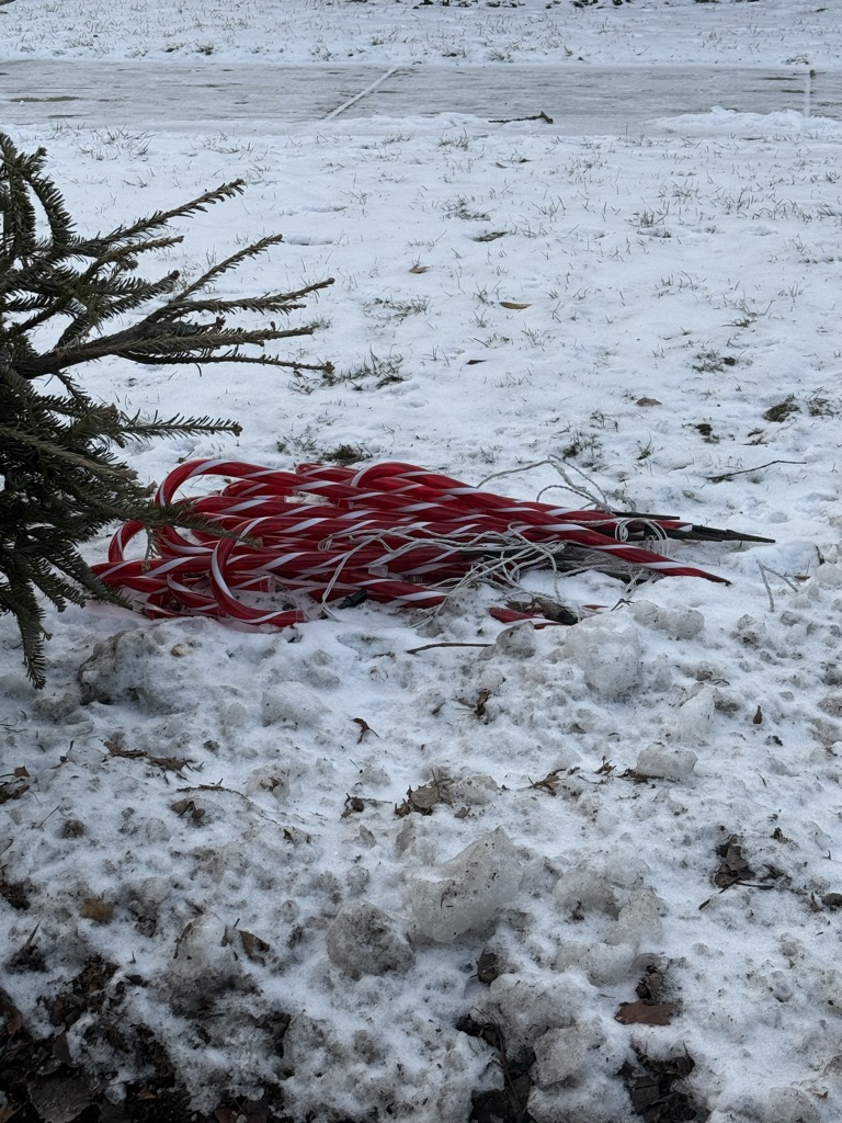 Free Outdoor Candy Canes