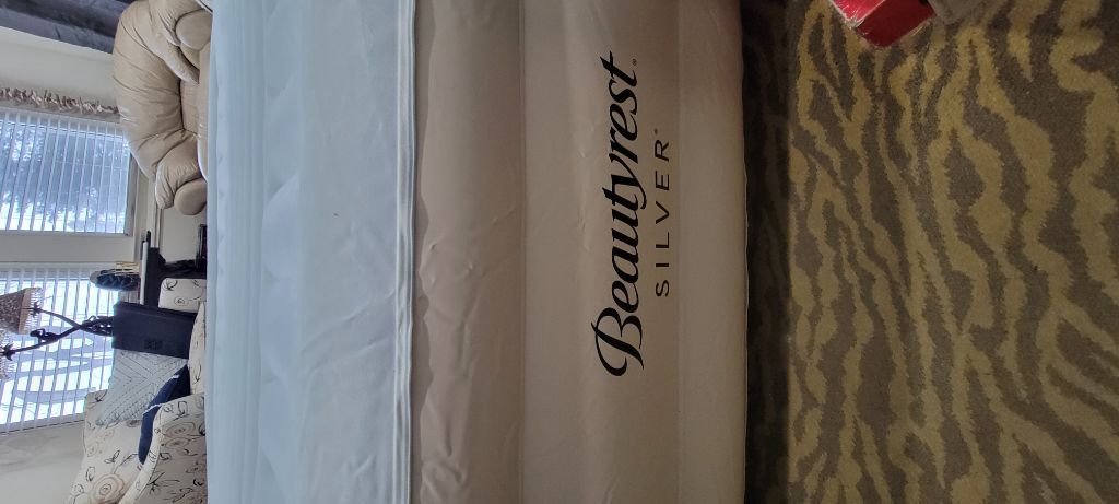 Free Self Inflatable Bed