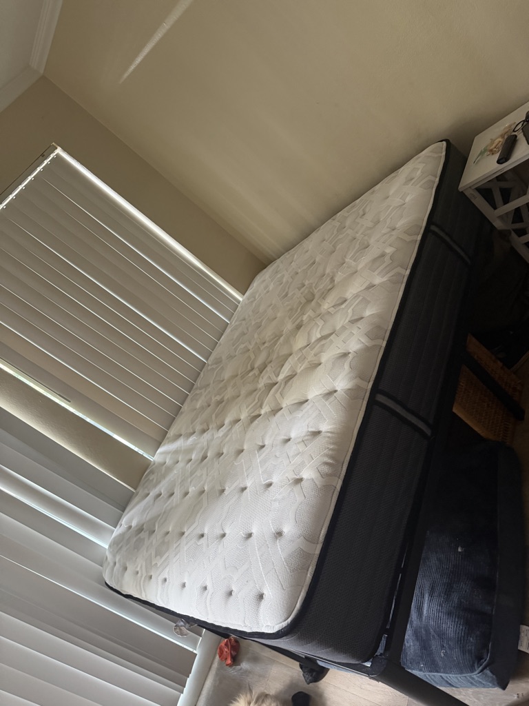 Free Sealy mattress