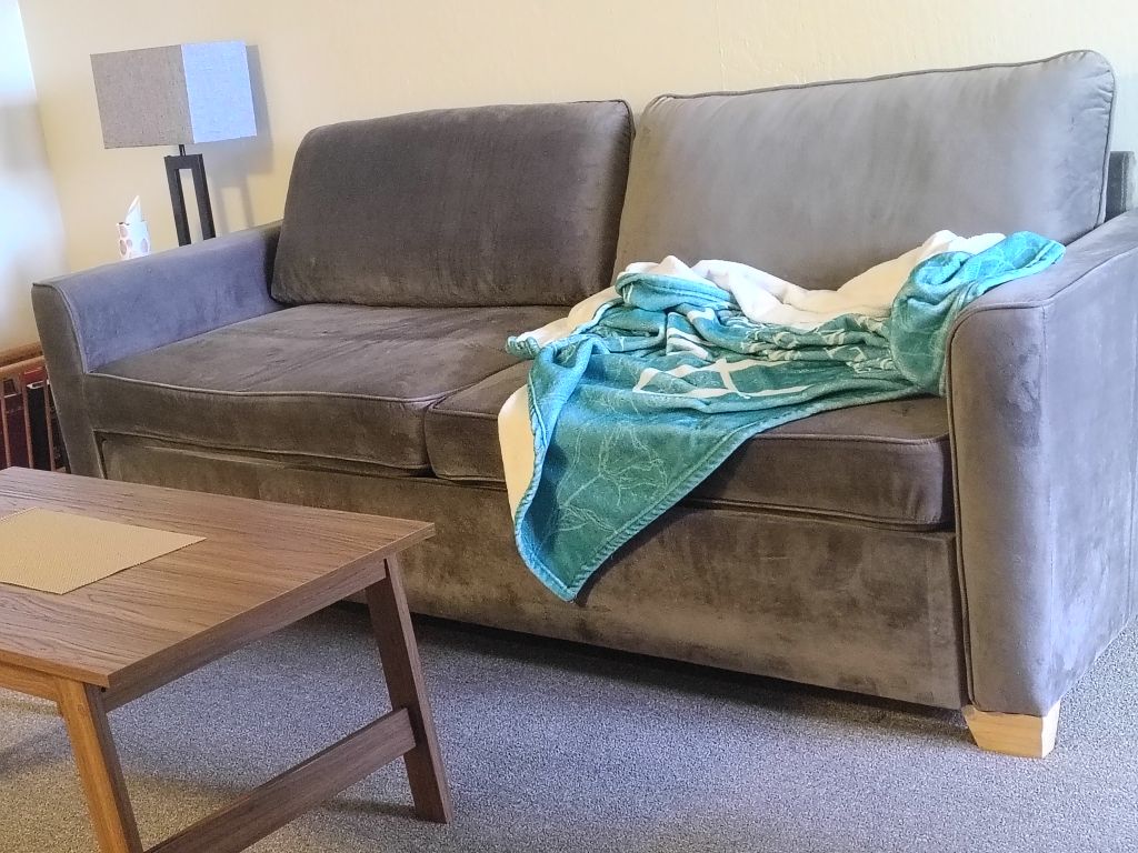 Free Sofa sleeper ( queen )