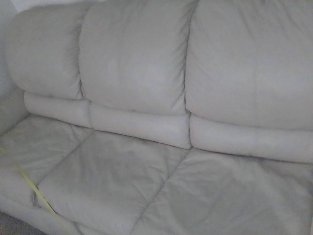 Free Leather hide a bed
