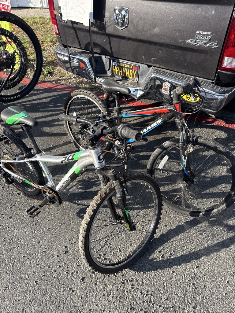 Free Bikes kids and adults