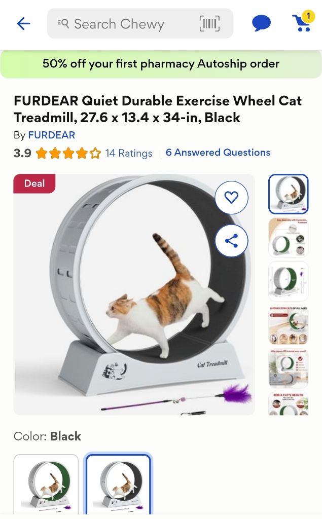 Free Large cat wheel