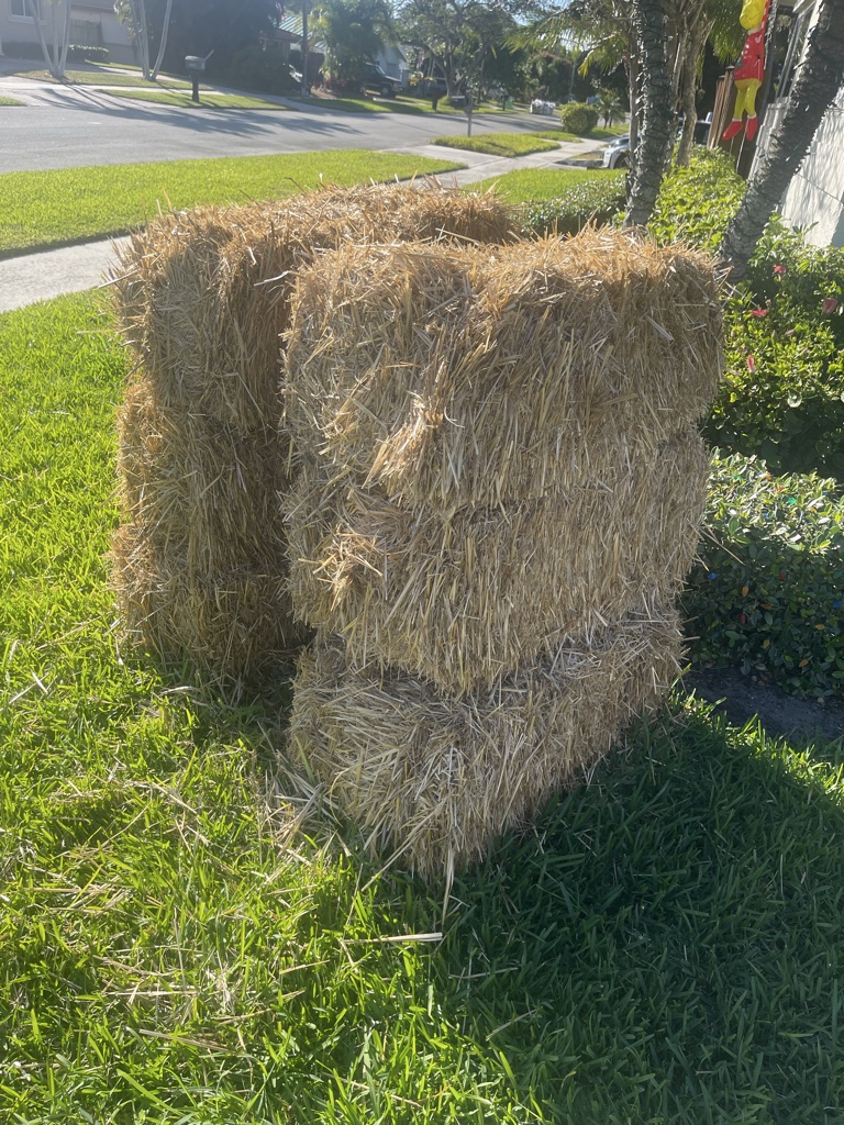 Free 6 Straw bales