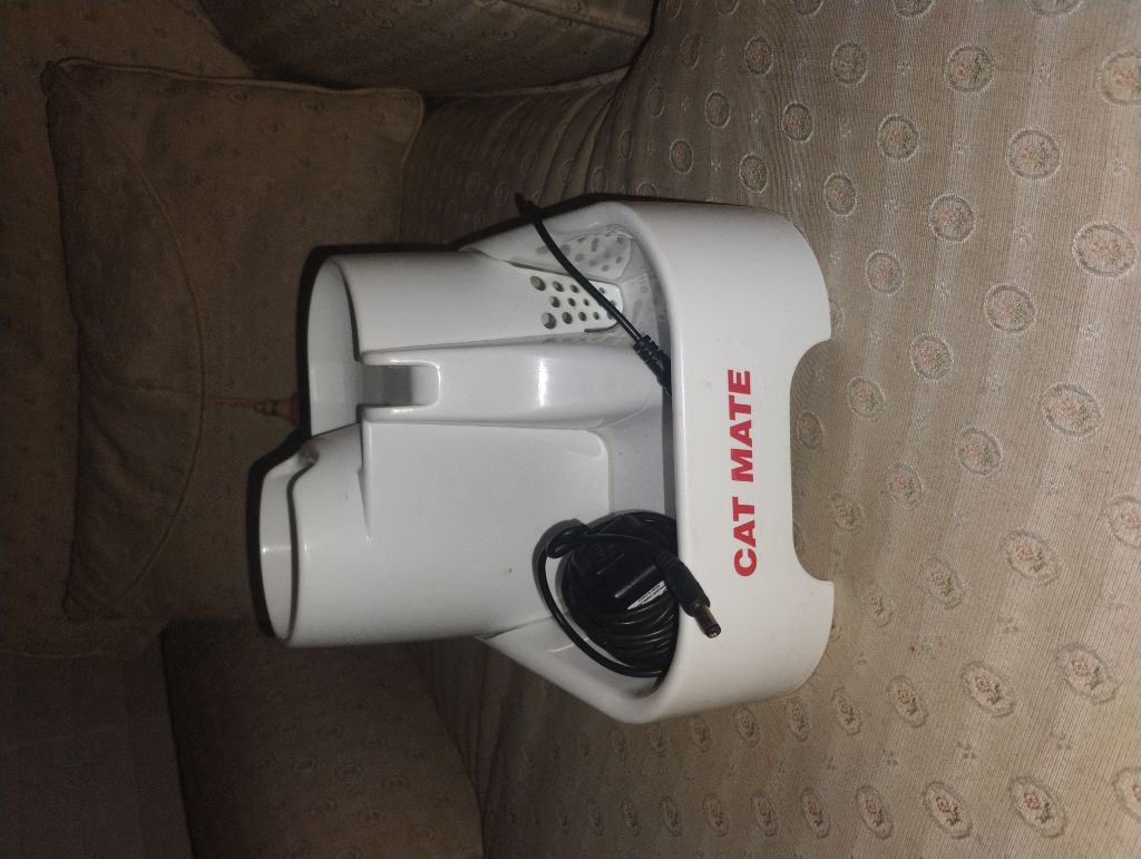 free cat or small dog water fountain