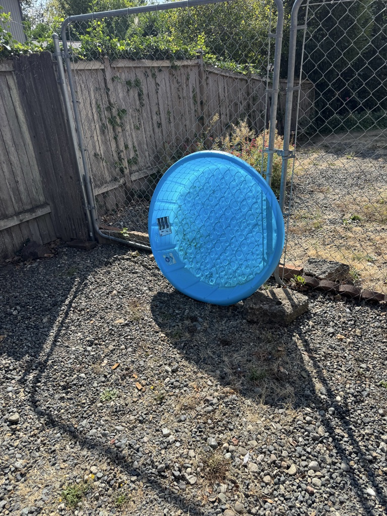 Free kiddie pool