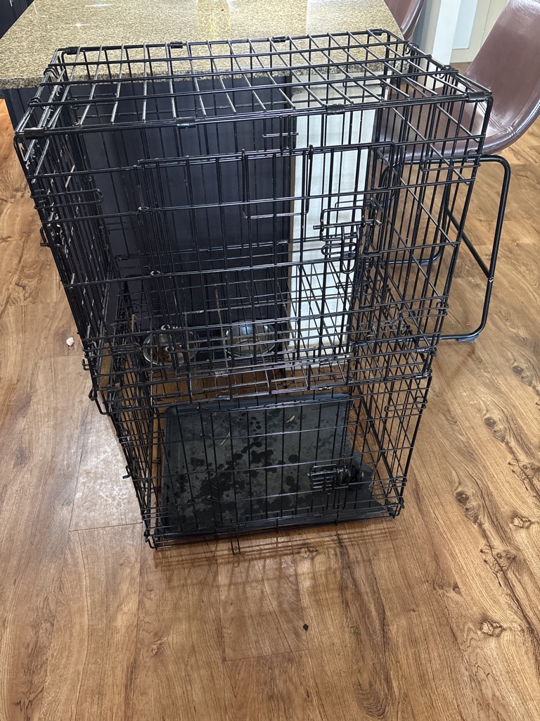 Free Small cages no tray and partially broken tray