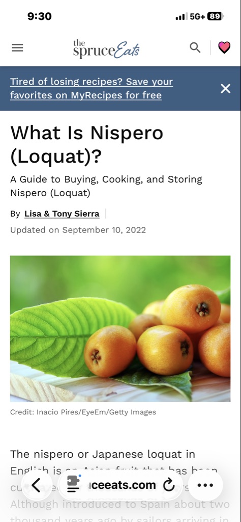 Free loquat tree