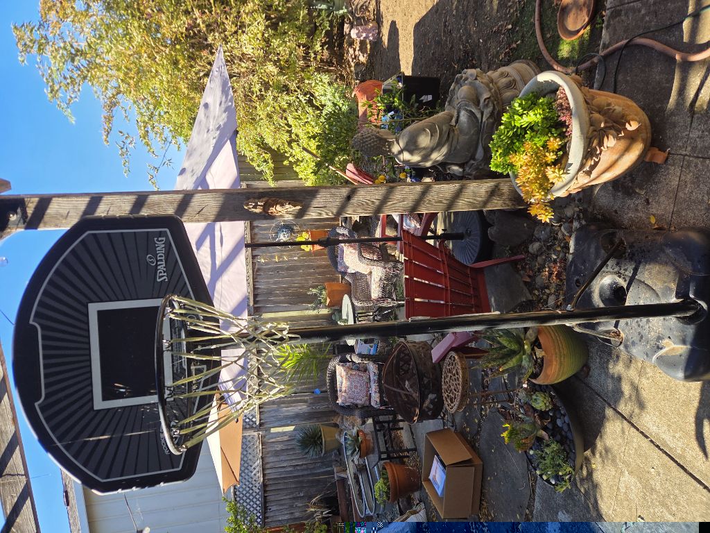 Free Spalding basketball hoop