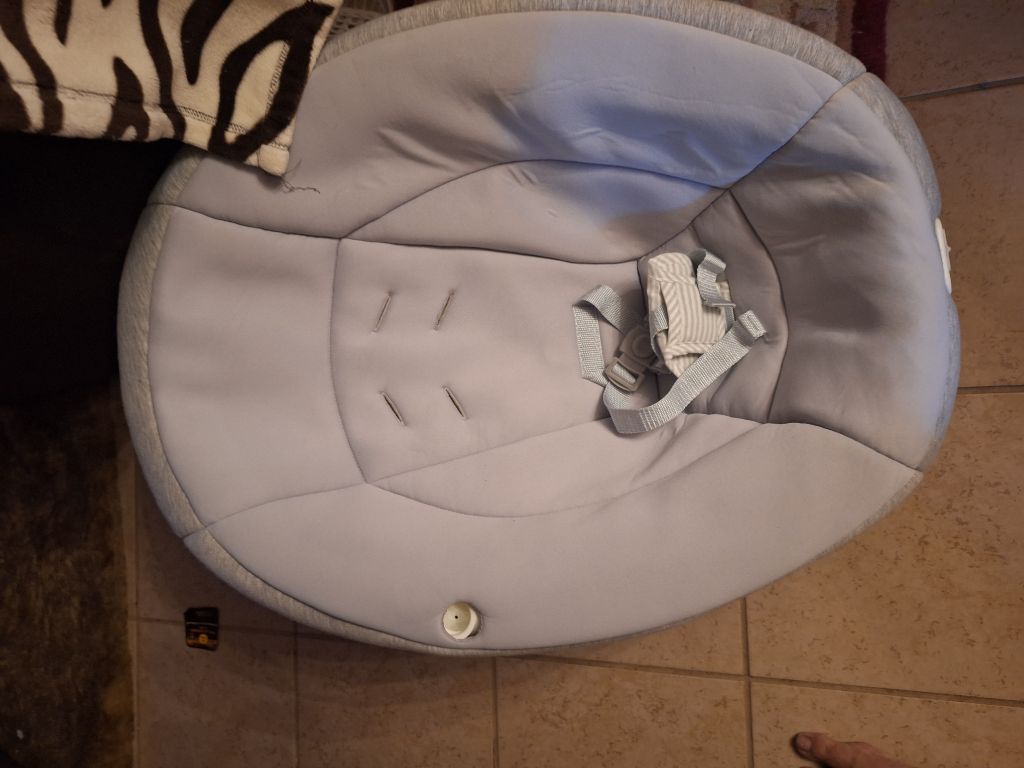 Free Older style baby bouncer