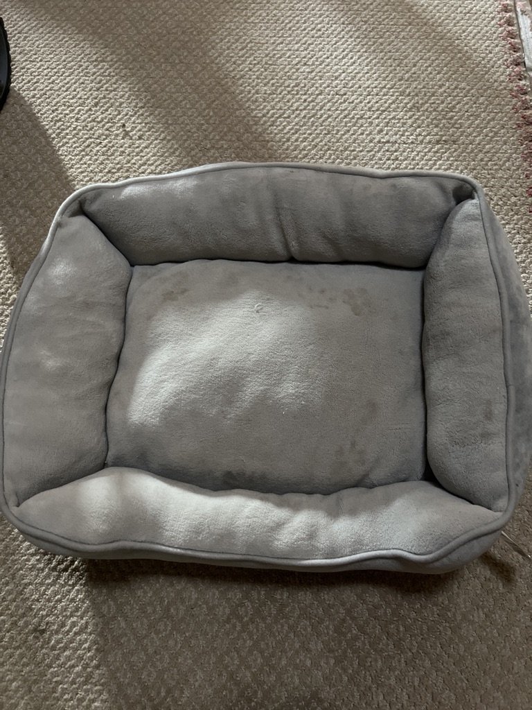 Free Pet bed