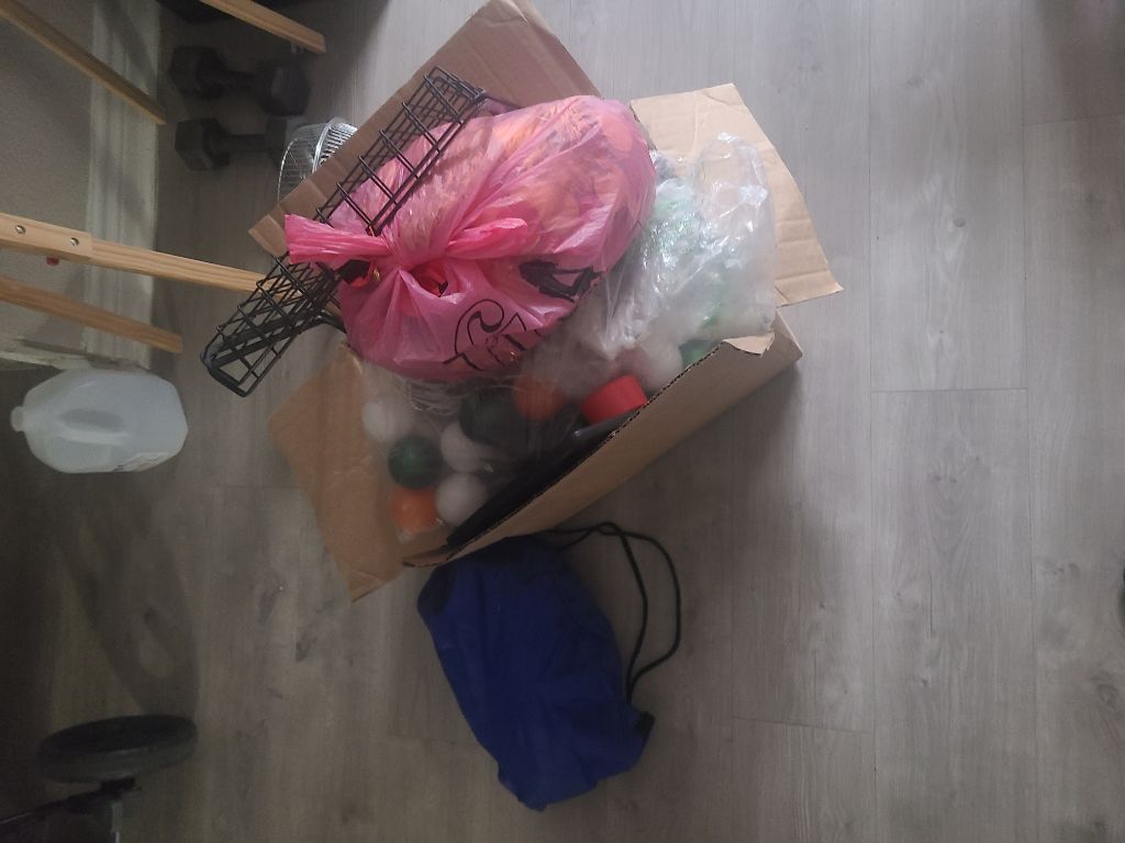 Free Halloween/Christmas ornaments/Boys toys: paw patrol and other random toys