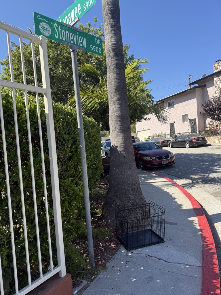 Free Dog crate
