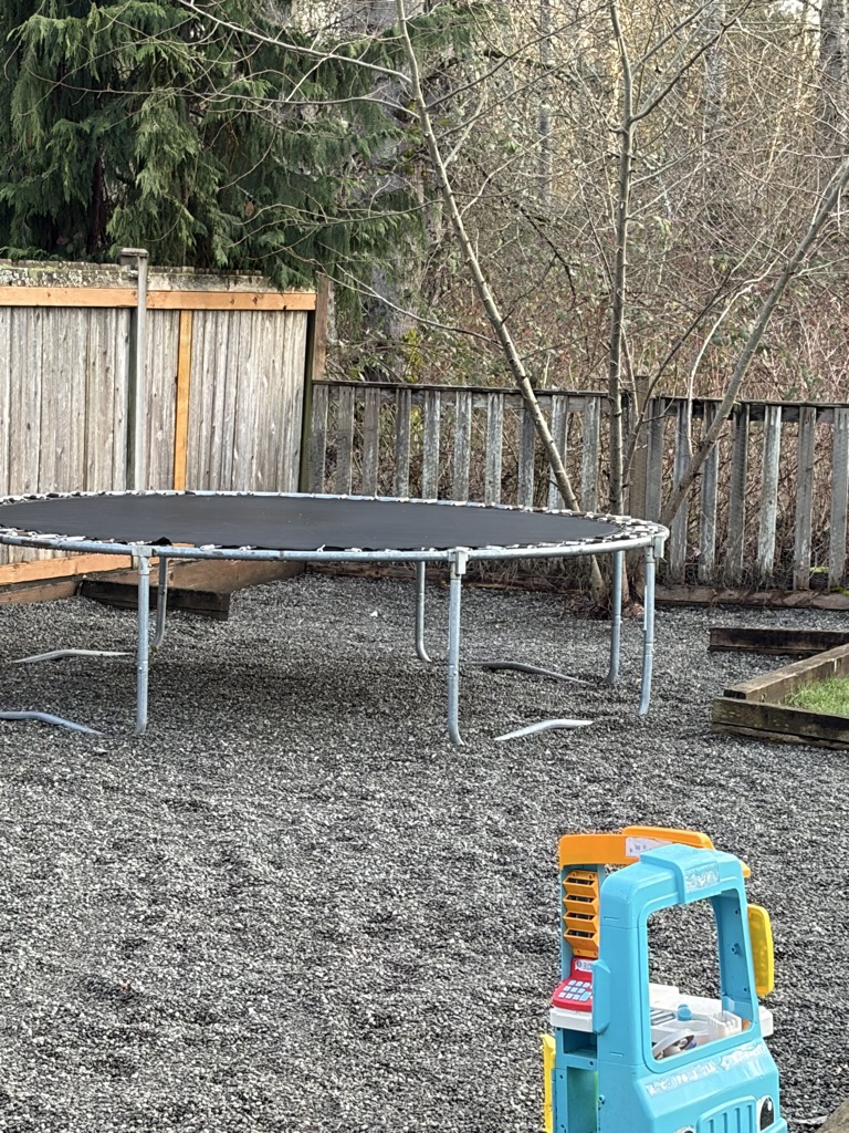 Free Trampoline