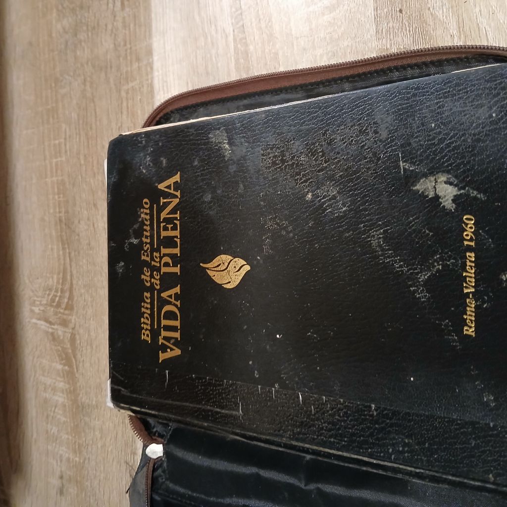 Free ONLY JESUS SAVES