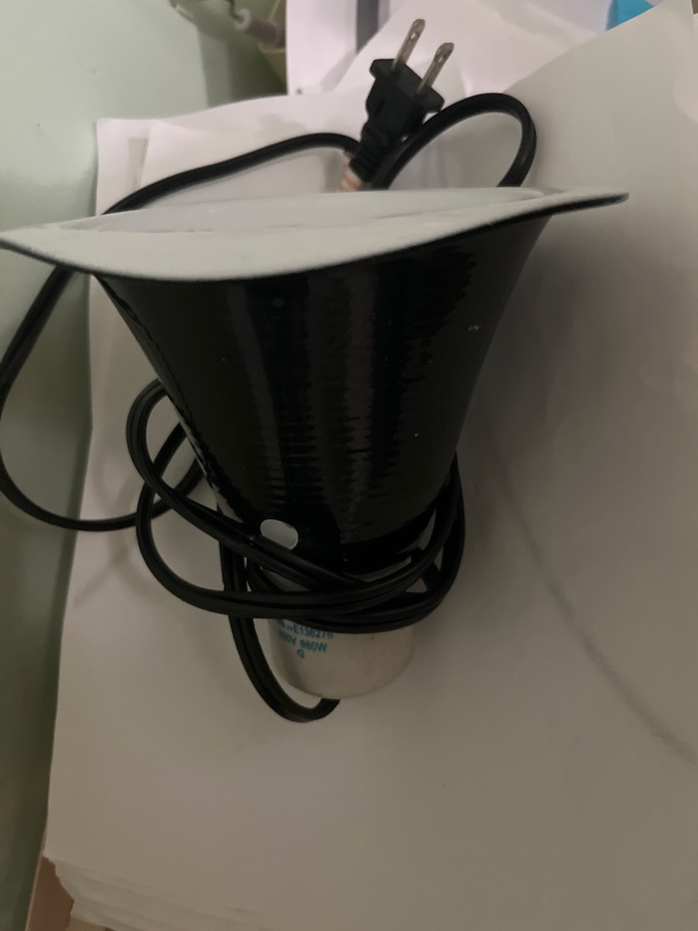 Free Lamp for reptiles