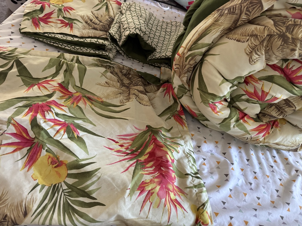 Free Queen comforter set
