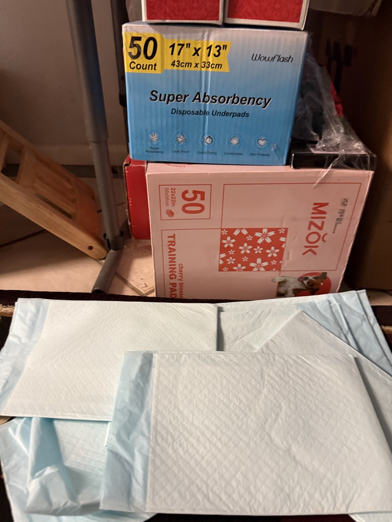 Free doggie disposable training pads