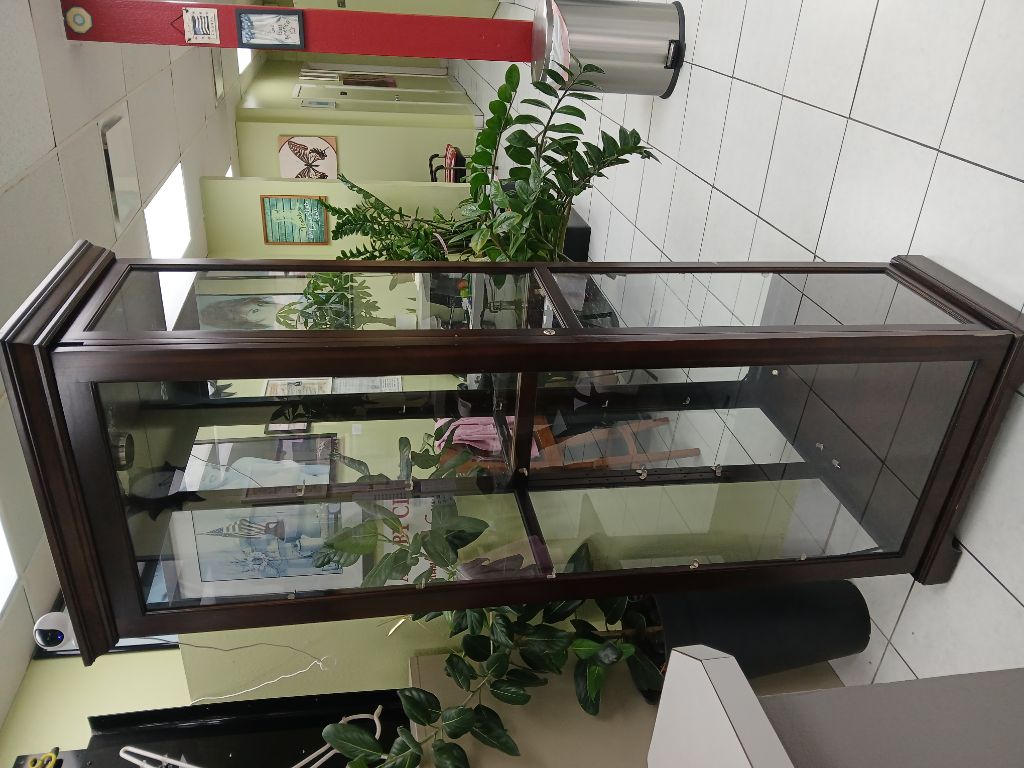 Free Curio Cabinet