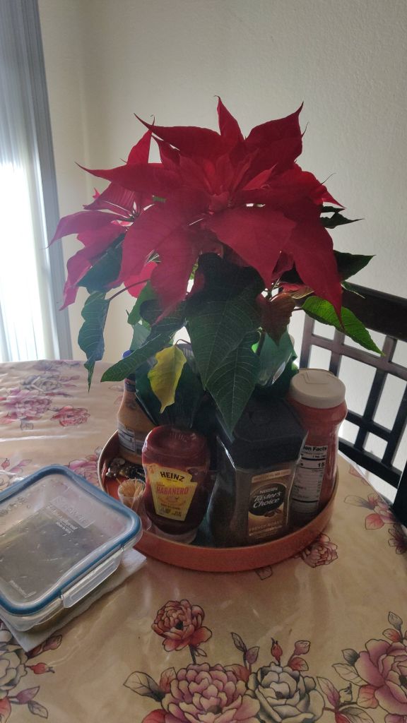 Free Someone could give me a refrigerator that no longer needs PLEASE.