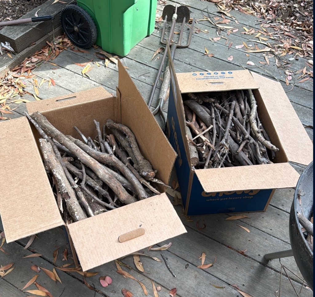 Free wood/branches