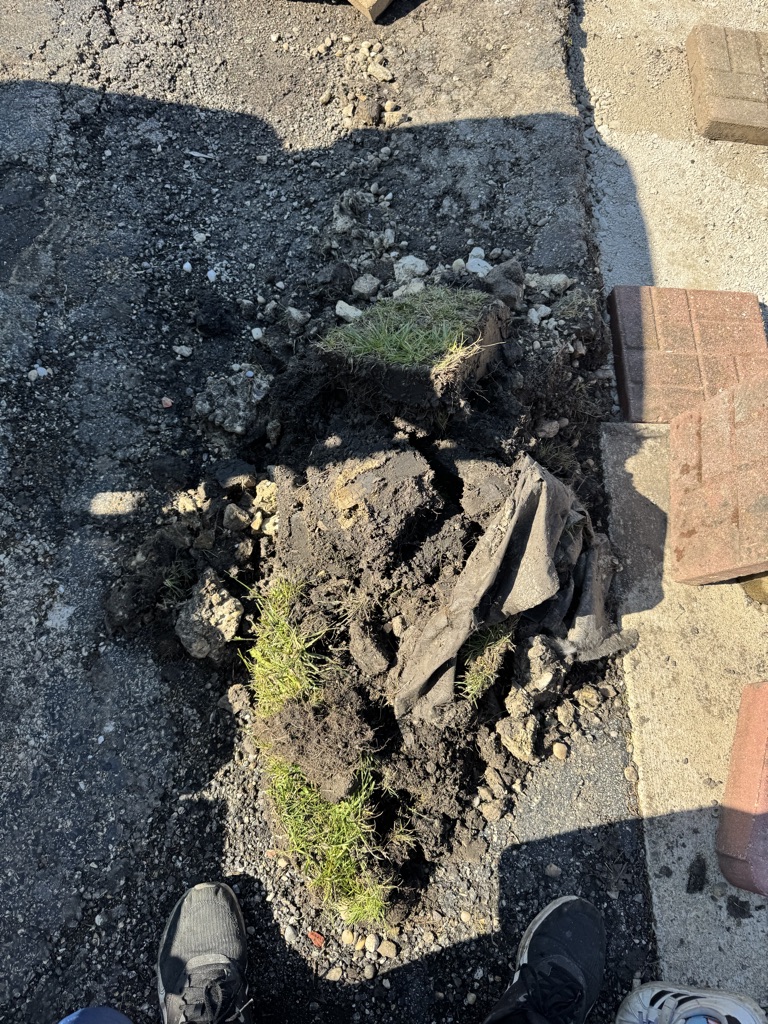 Free soil