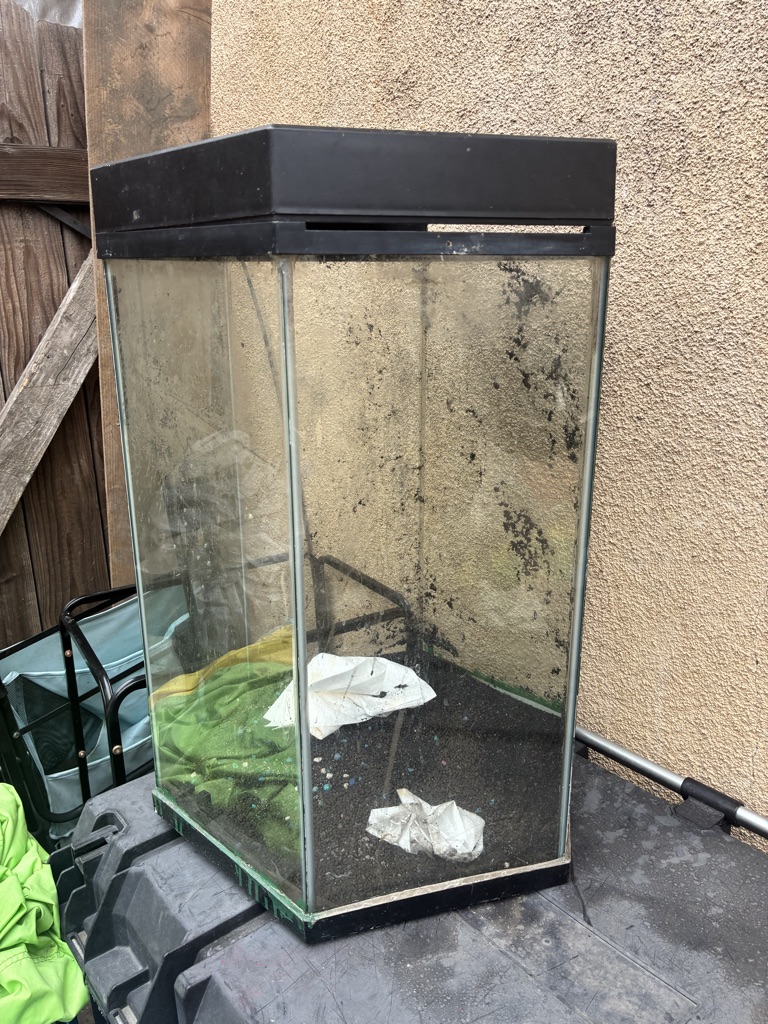 Free 20 gal tank freshwater
