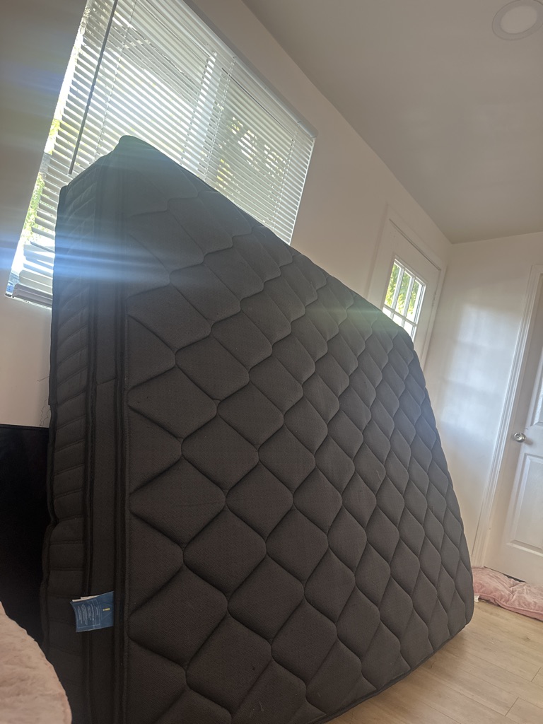 Free Queen sized bed