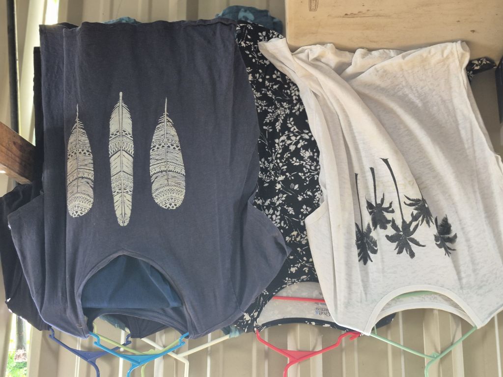 Free Plus size women's tops and jeans