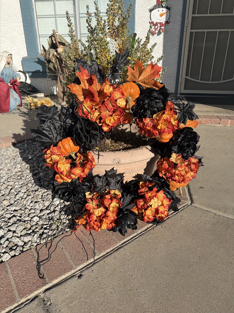 Free first come first served