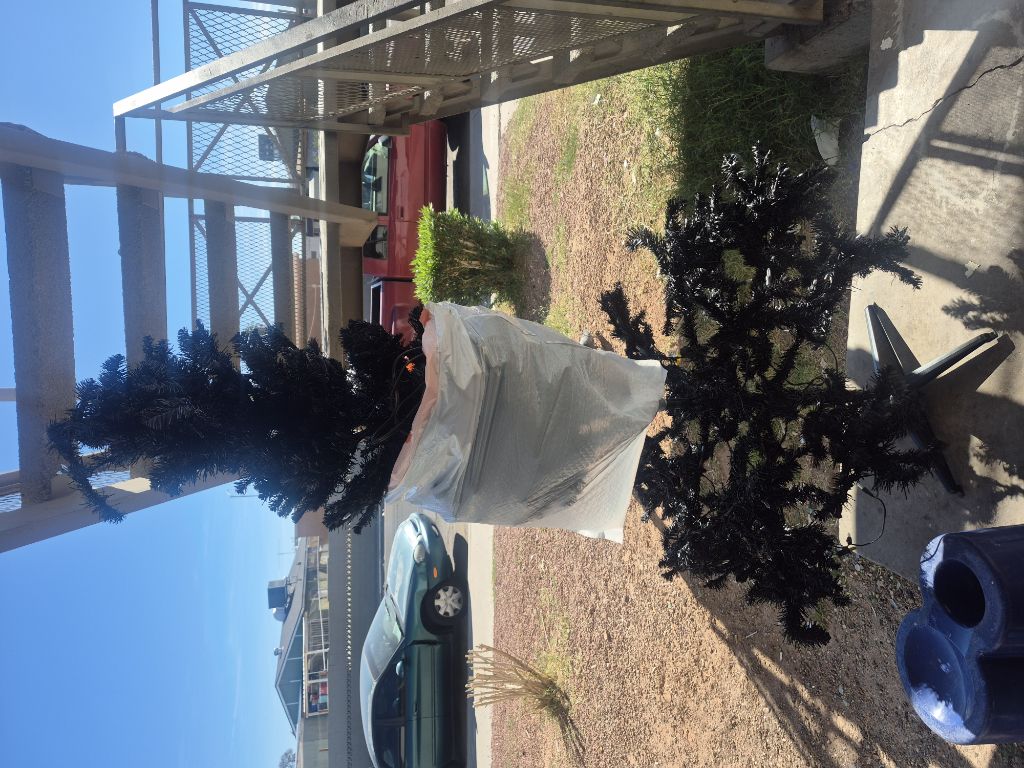 Free Árbol de navidad