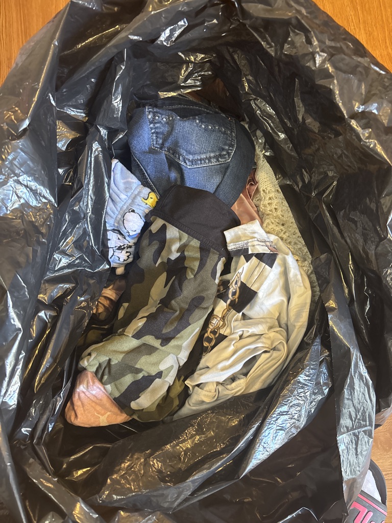 Free Womans clothes large and X-Large