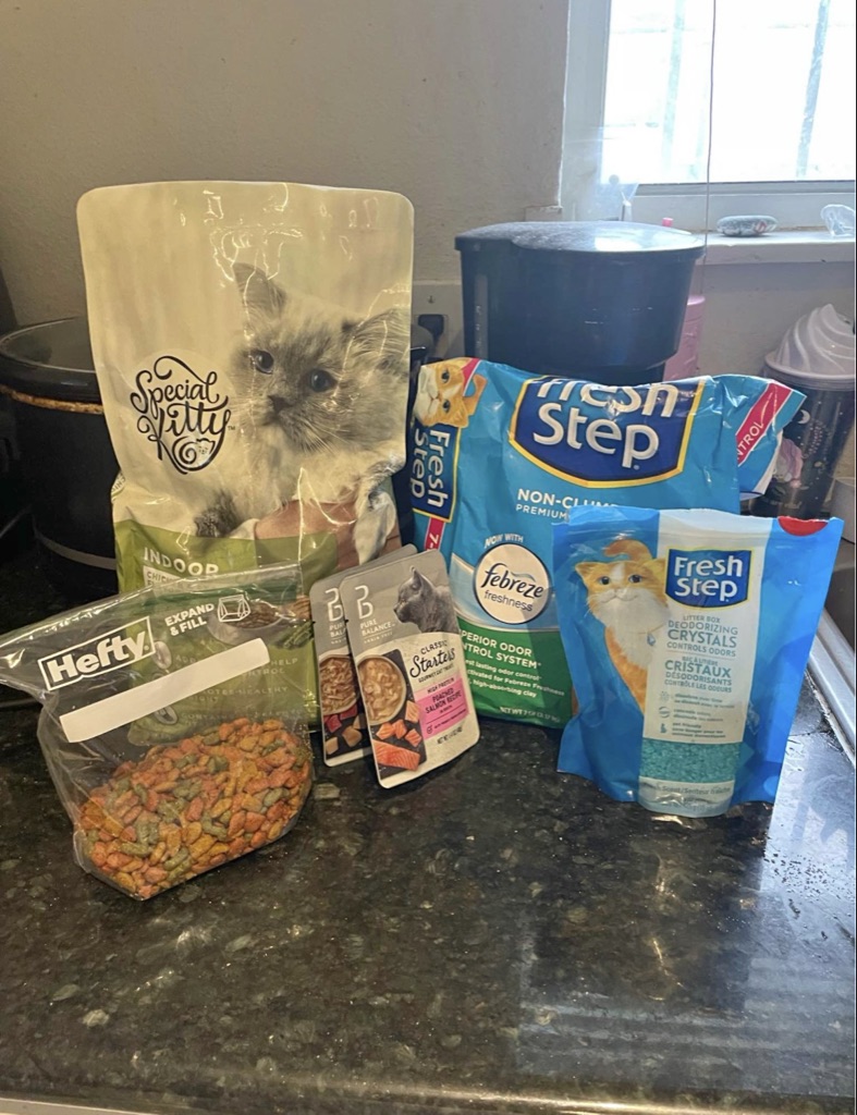 FREE CATFOOD WILL BE PLACED OUTIDE