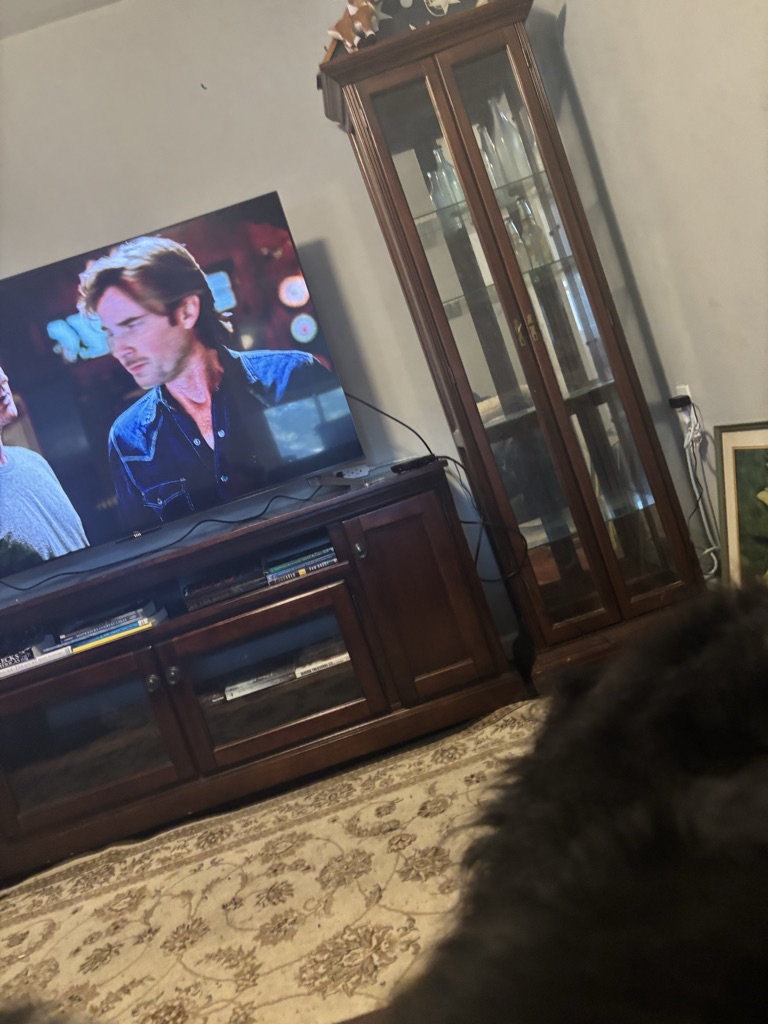 Free House furniture