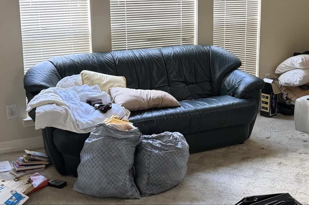 Free Vintage sofa, console table, and rug