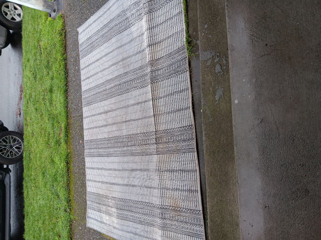 Free Outdoor rug