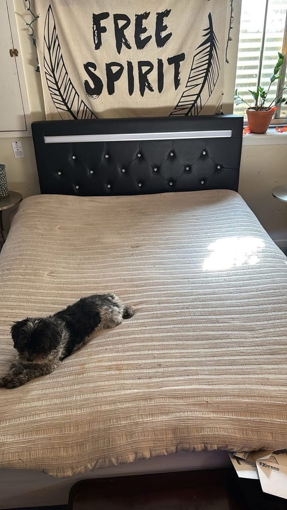 Free Headboard and bed frame