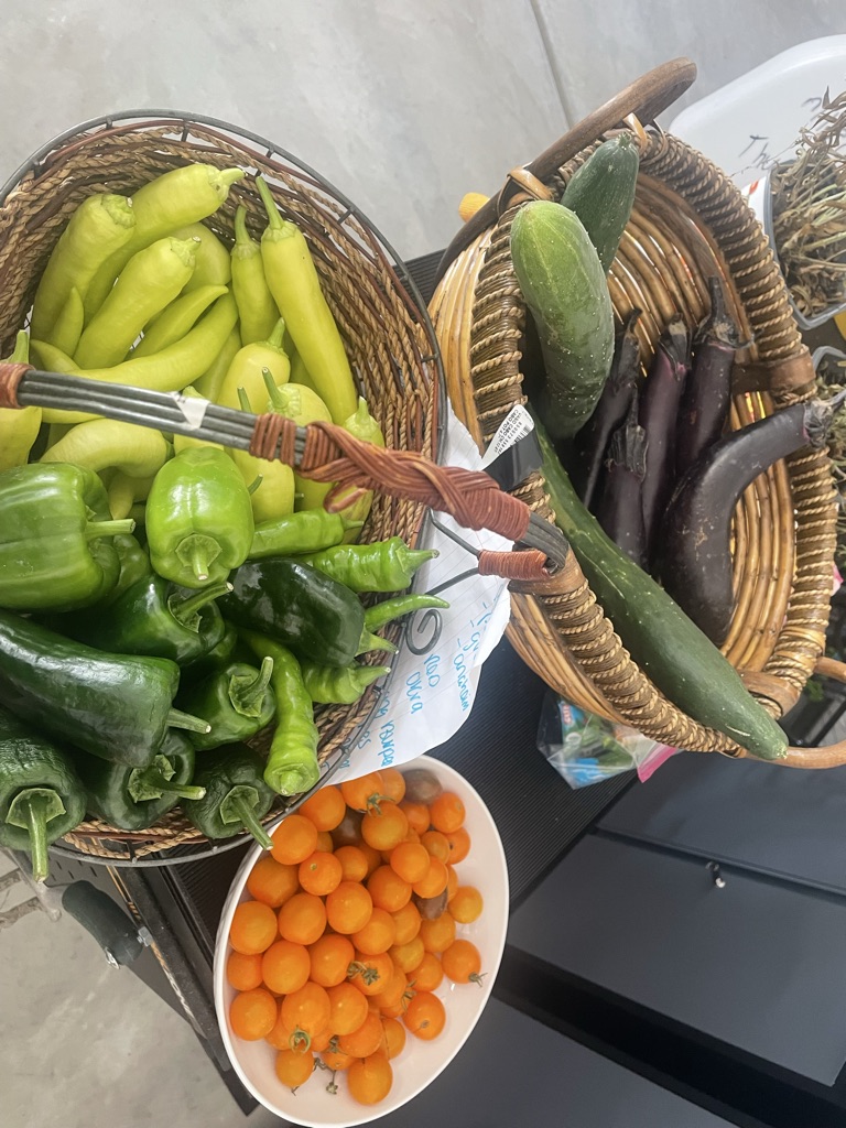Free Organic Vegetables