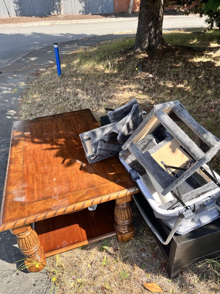 Free Coffee table, cat toys, furniture