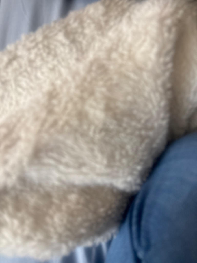 free men's pants
