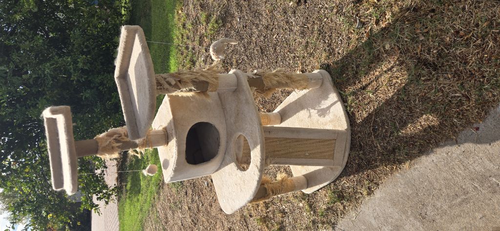 Free Cat tree