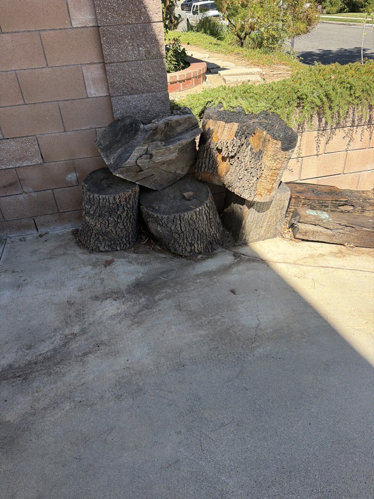 Free Wood