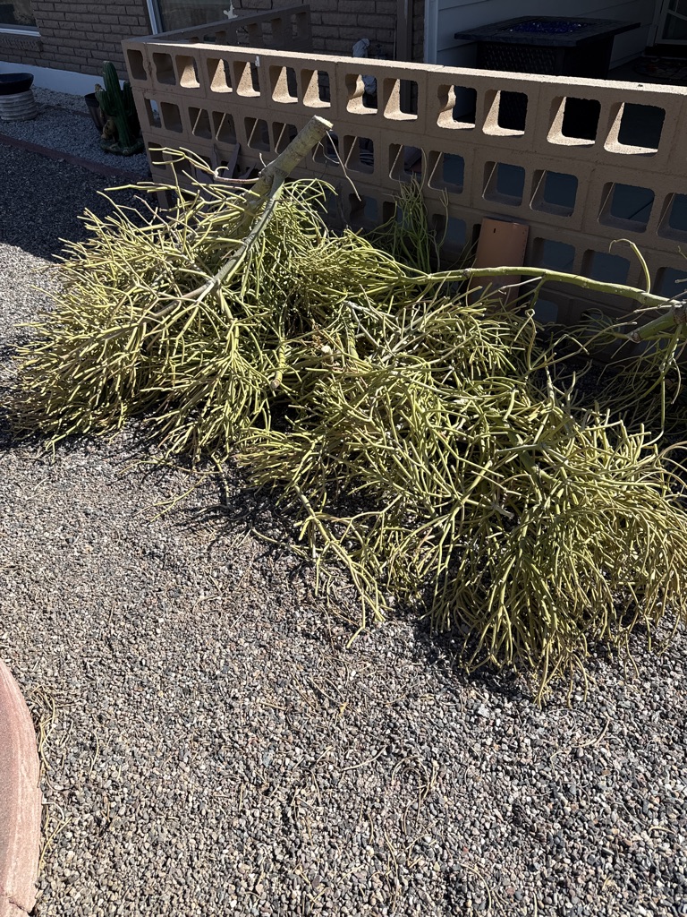 Free Fire stick cuttings