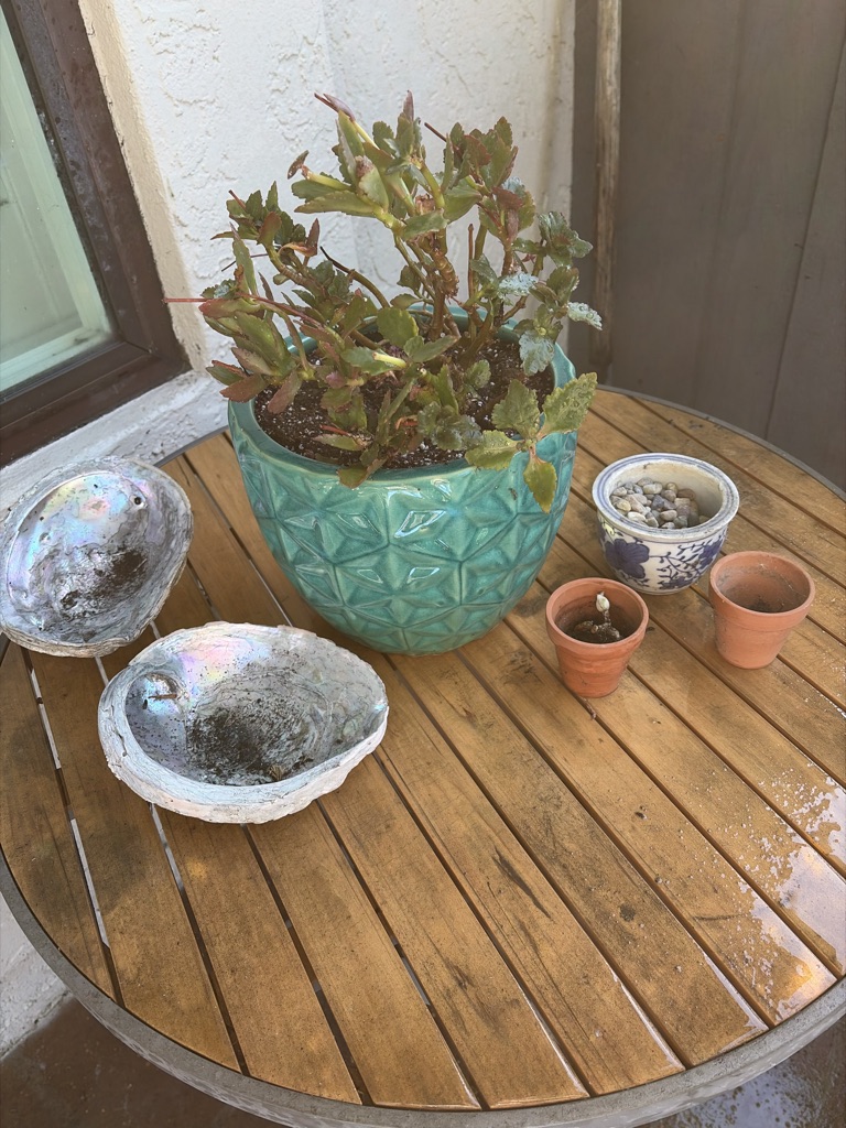 Free Moving - Free stuff on porch