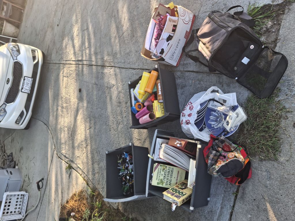 Free Bob books and much more!