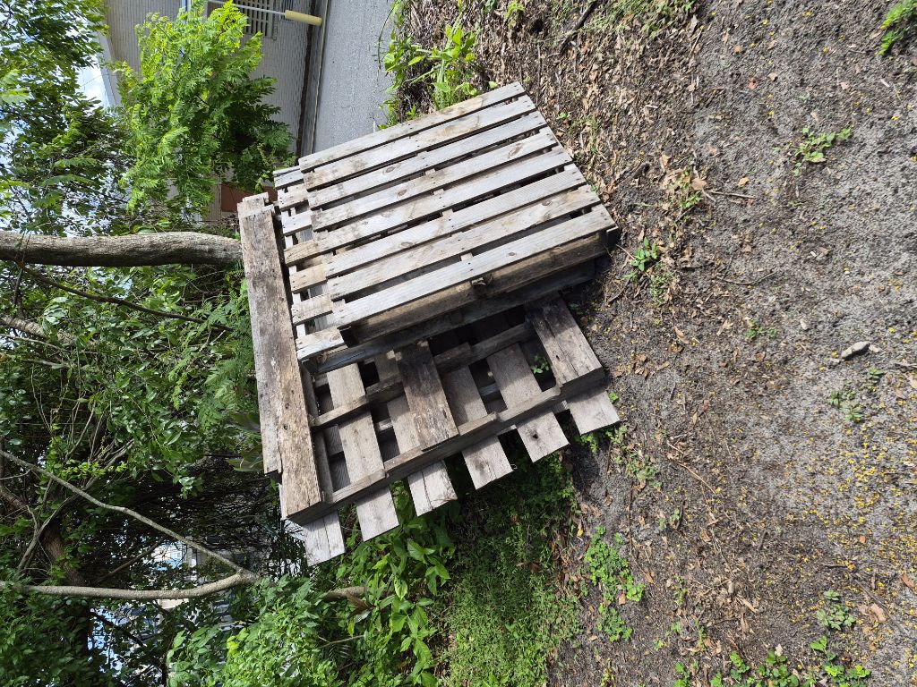 Free Pallets, bike rack, and electric leaf blower