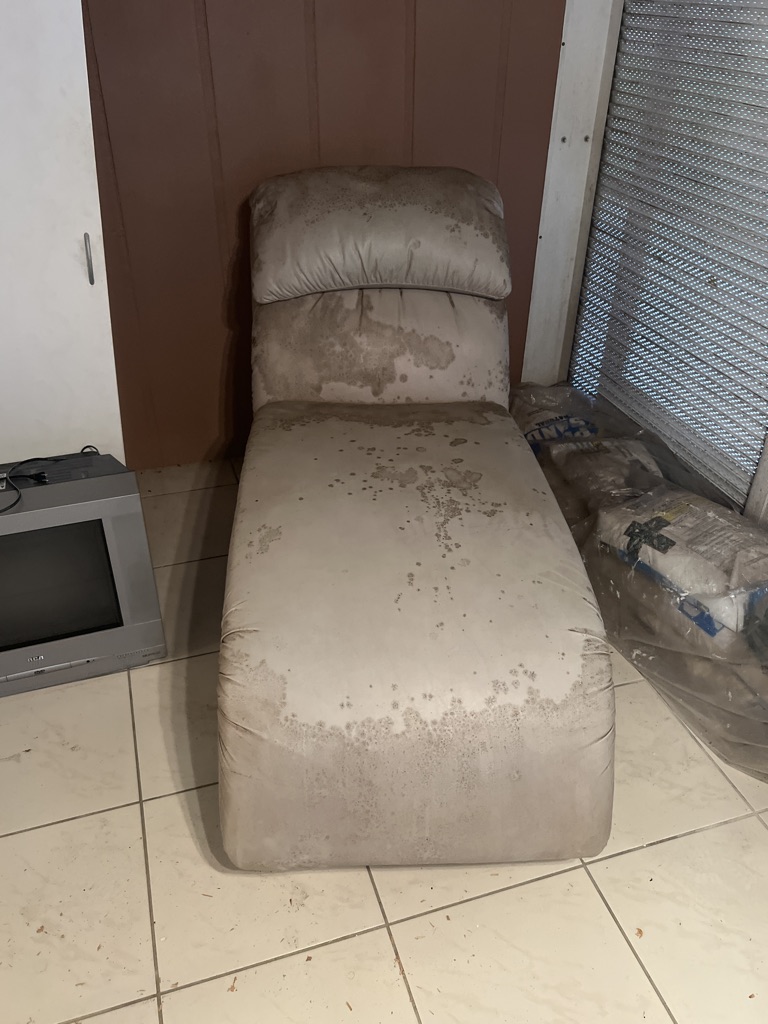 Free Lounge Chair