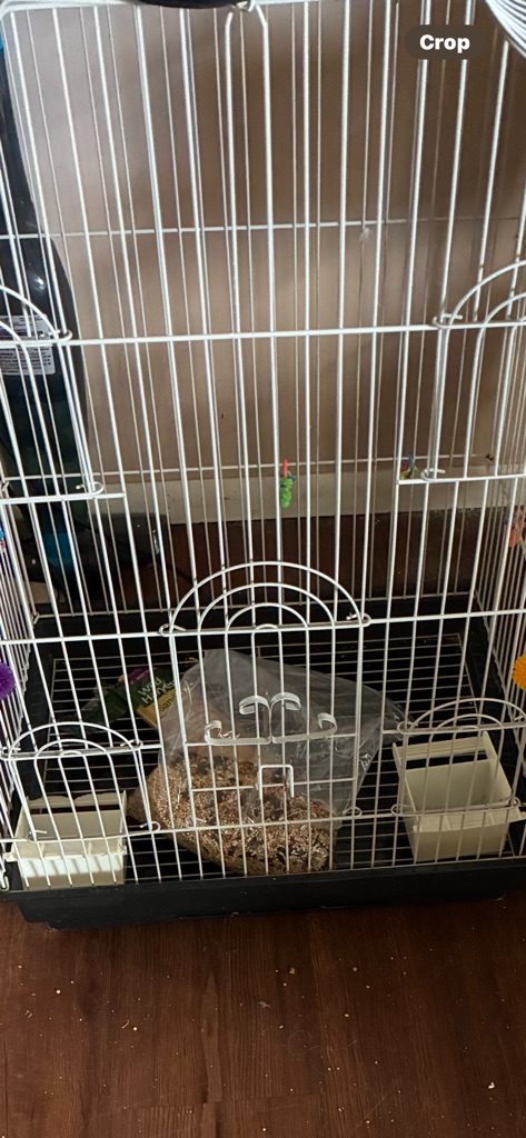 Free Used bird cage